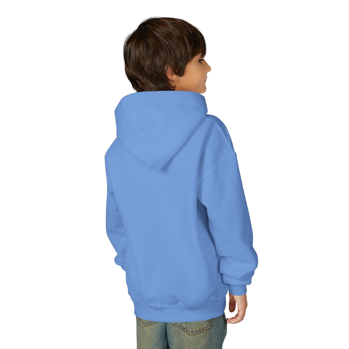 Youth Hoodie — 'B+' Minimal Grade Pride Sweatshirt