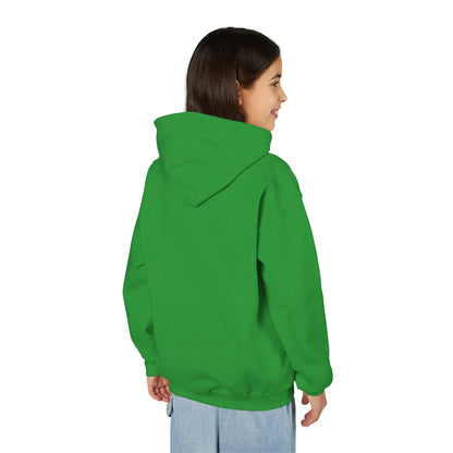 Youth Hoodie — 'B+' Minimal Grade Pride Sweatshirt