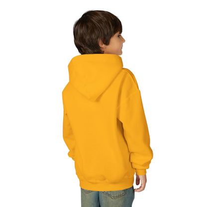 Youth Hoodie — 'B+' Minimal Grade Pride Sweatshirt