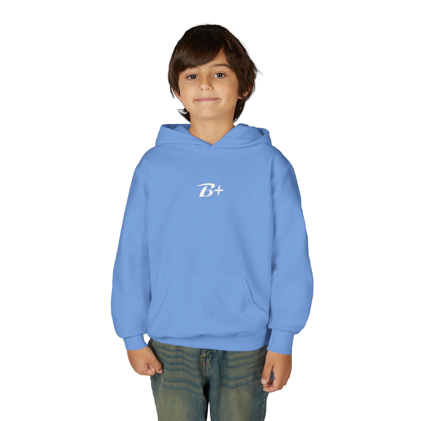 Youth Hoodie — 'B+' Minimal Grade Pride Sweatshirt