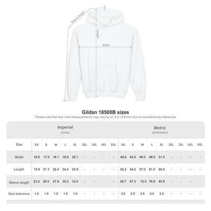Youth Hoodie — 'B+' Minimal Grade Pride Sweatshirt
