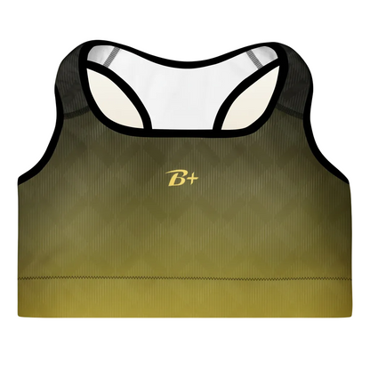 Ombre Padded Sports Bra