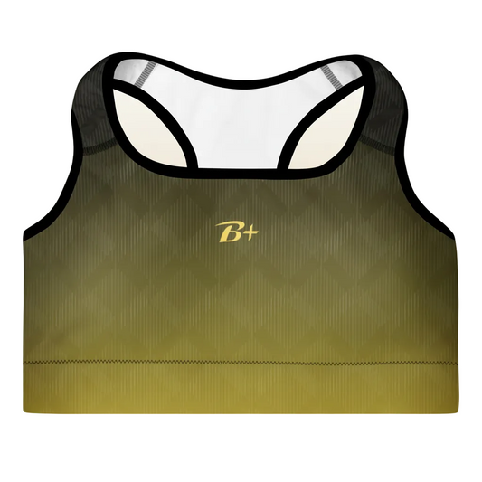 Ombre Padded Sports Bra