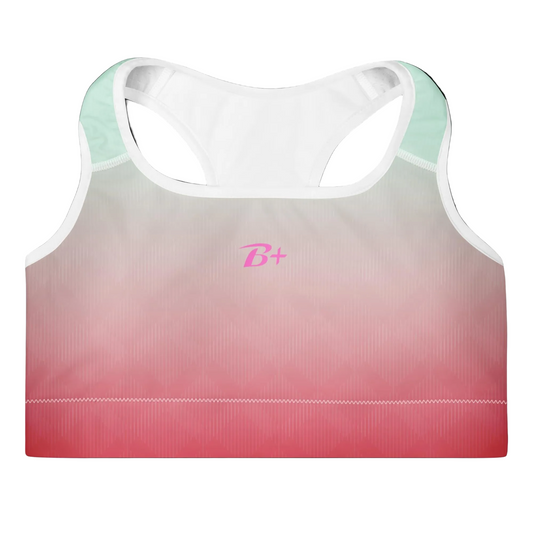 Ombre Padded Sports Bra