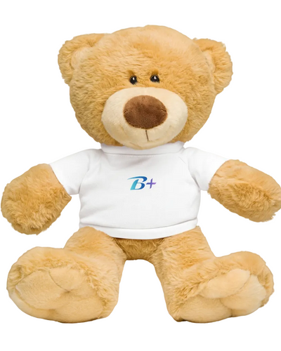 B+ Teddy