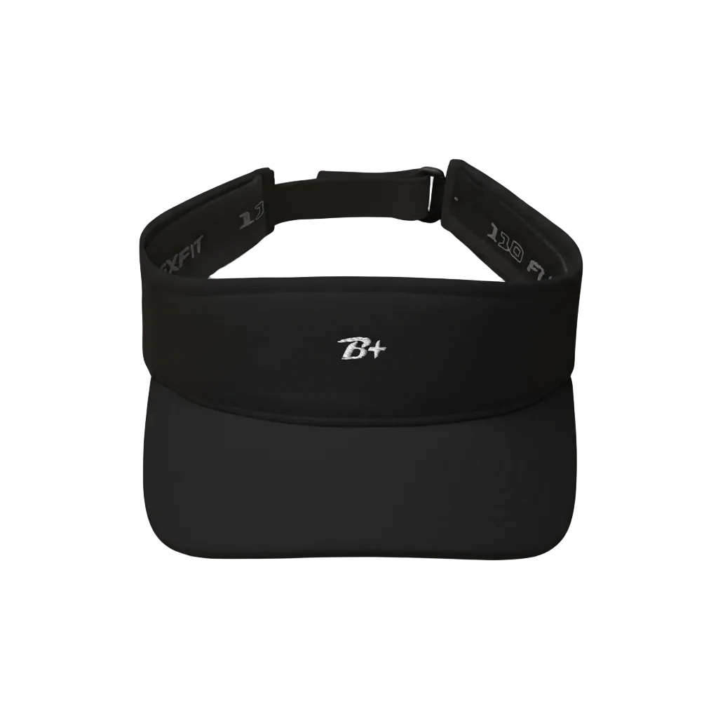 Visor