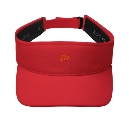 Visor