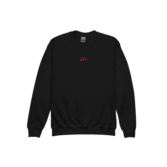 Youth crewneck sweatshirt